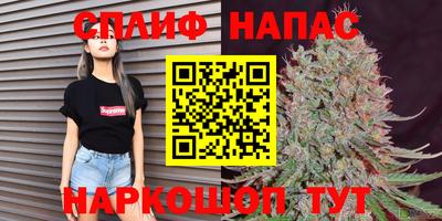 ПСИЛОЦИБИНОВЫЕ ГРИБЫ Заволжье