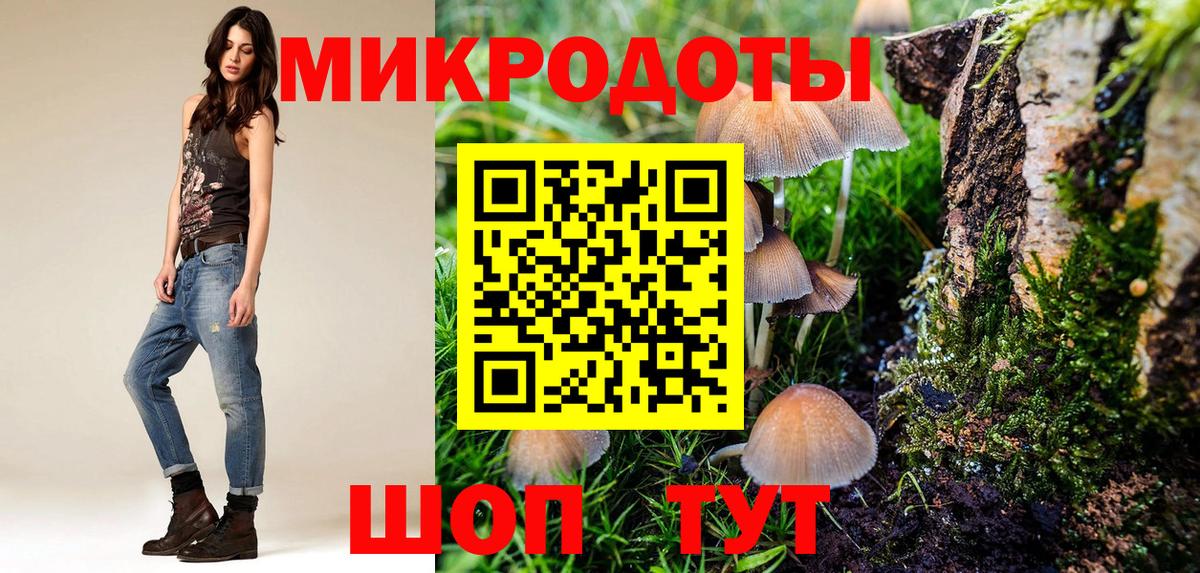 Михайловка  Галлюциногенные грибы Magic Shrooms  хочу   Галлюциногенные грибы прущие грибы  Вход с VPN 